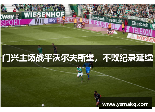 门兴主场战平沃尔夫斯堡，不败纪录延续