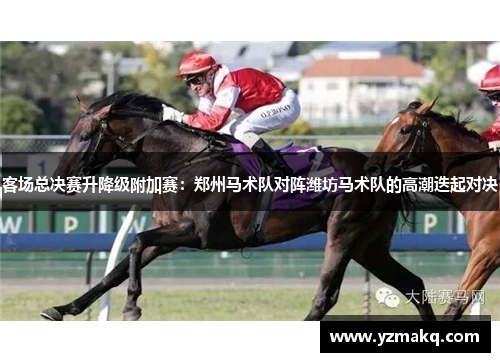 客场总决赛升降级附加赛：郑州马术队对阵潍坊马术队的高潮迭起对决